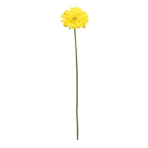 Single Gerbera Yellow - 72cm