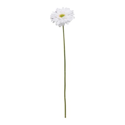 Single Gerbera White - 72cm