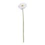 Single Gerbera White - 72cm