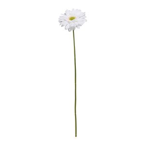 Single Gerbera White - 72cm