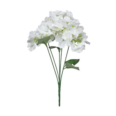 Essential Hydrangea bush  - White