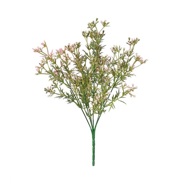 Essential Heather Bud Bush - Pink