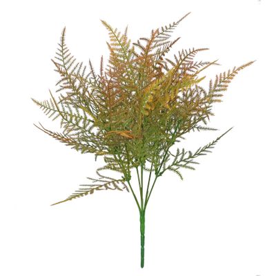 Essential Asparagus Fern  - Brown