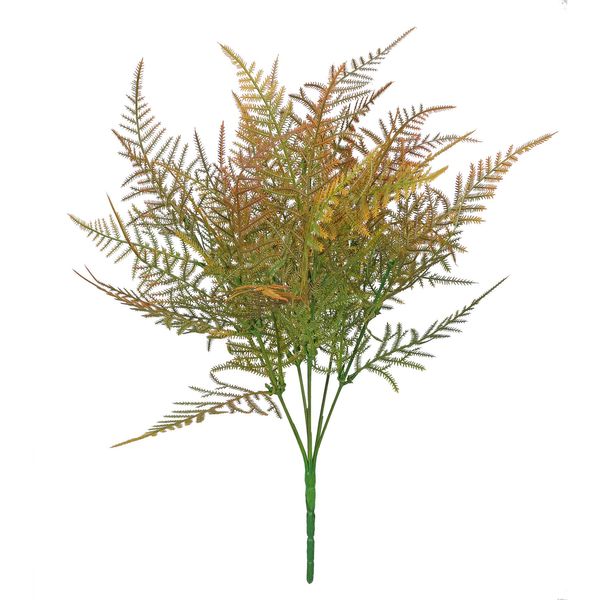Essential Asparagus Fern  - Brown