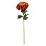 Chrysanthemum Dark Orange (12/144)