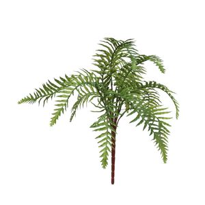 Pinate Fern (24/240)