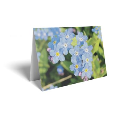 Folded Card - Forget Me Not