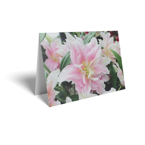 Folded Card - Pink Lily