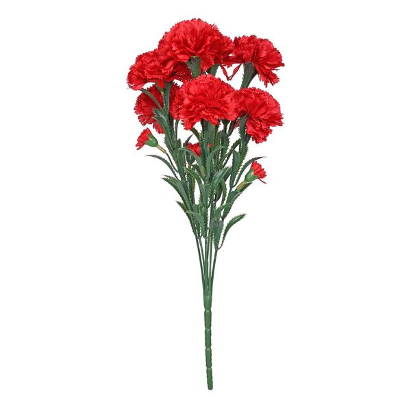 Essential Carnation Bunch Red  ( 24/384 )
