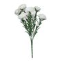 Essential Carnation Bunch White (24/384)