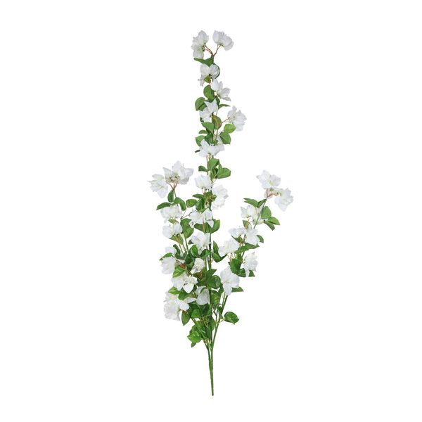 Essential Bouganvillia Trail - White