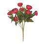 Essential Ranunculus Bush - Burgundy