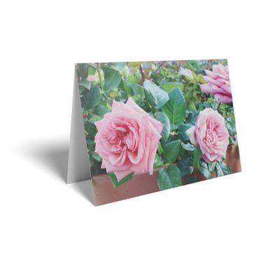 Folded Card - Pink Roses