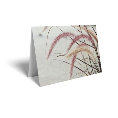 Folded Card - Pink Grasses
