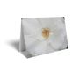 Folded Card - White Rose