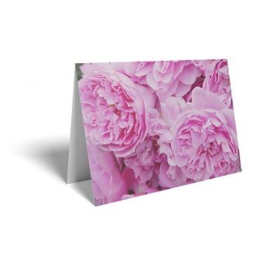 Folded Card - Pink Roses