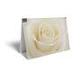 Folded Card - Pale Cream Rose