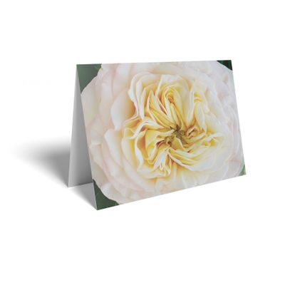 Folded Card - Pale Pink/Yellow rose