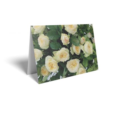 Folded Card - Pale Yellow Rose