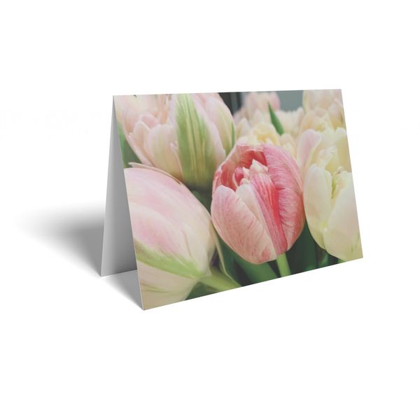 Folded Card - Tulips