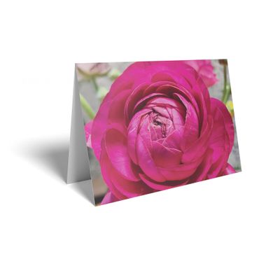 Folded Card - Deep Pink Rose