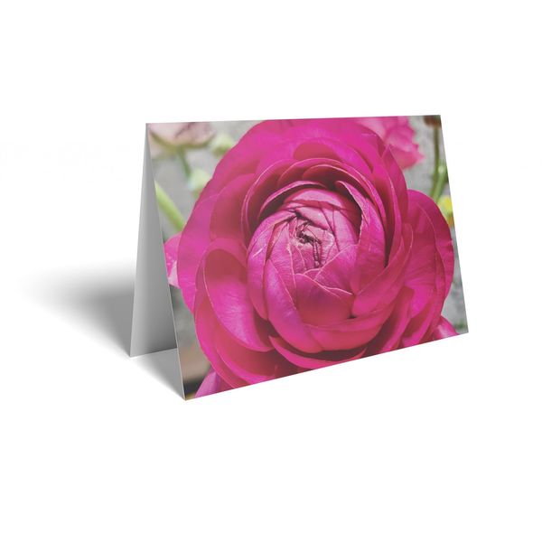 Folded Card - Deep Pink Rose