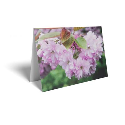 Folded Card - Pink Blossom