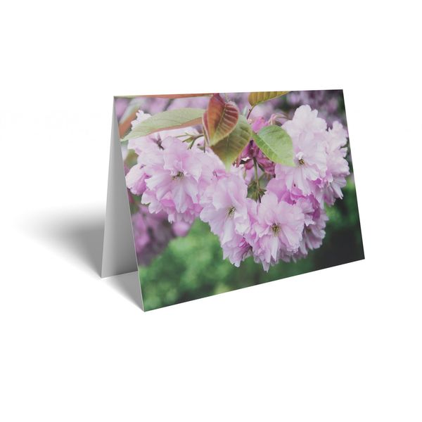 Folded Card - Pink Blossom