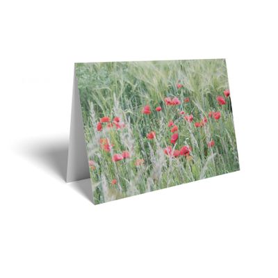 Folded Card - Red Poppy Field