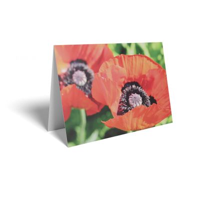 Folded Card - Red Poppies