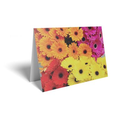 Folded Card - Mixed Colour Gerbera