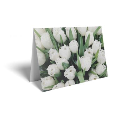 Folded Card - White Tulips