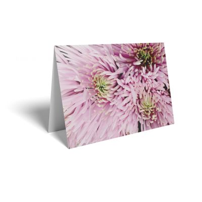 Folded Card - Spray Pink Chrysanthemum