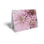 Folded Card - Spray Pink Chrysanthemum