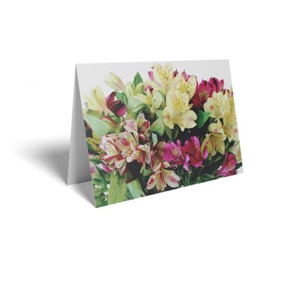 Folded Card - Mixed Colour Alstromera