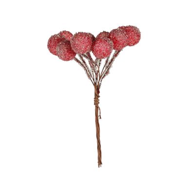 Frosted Berry Pick x10 Red - Box of 12