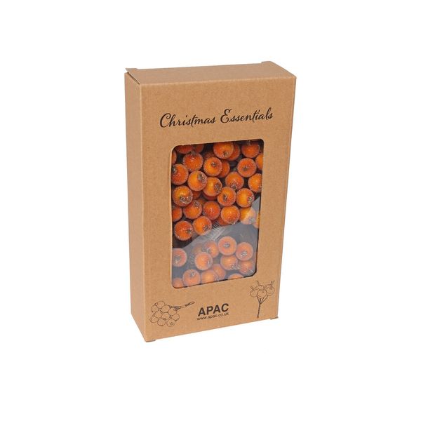 Frosted Berry x 10 Orange - Box of 12