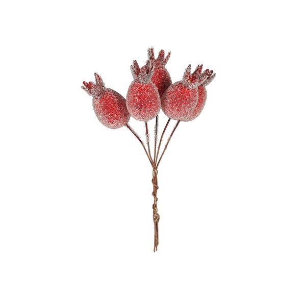 Frosted Rose Hip x 5 RED 3.5cm - Box of 6