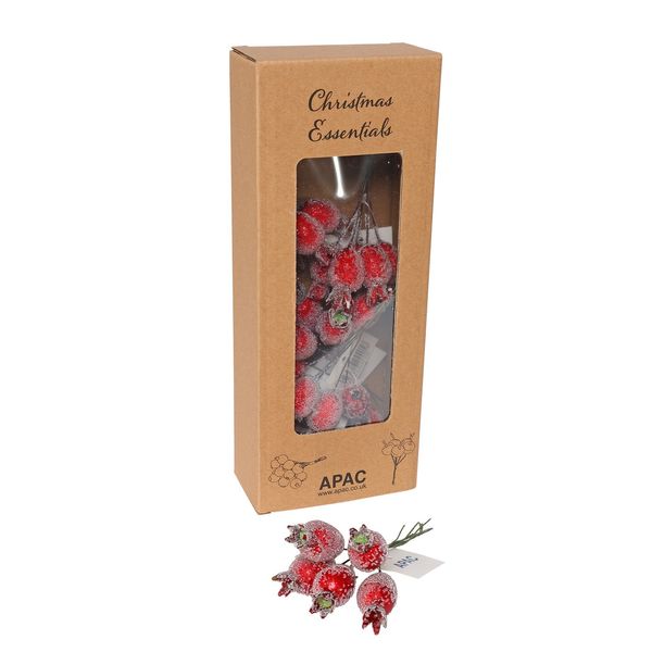 Frosted Rose Hip x 5 RED 3.5cm - Box of 6