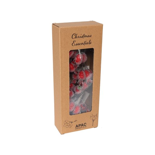 Frosted Rose Hip x 5 RED 3.5cm - Box of 6