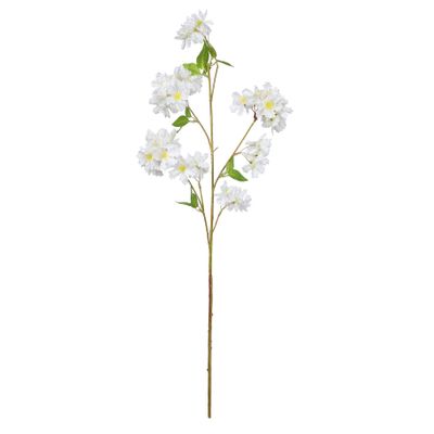 Essential Apple Tree Blossom - White