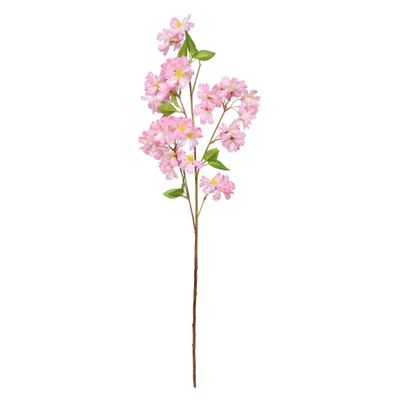 Essential Apple Tree Blossom - Bright Pink