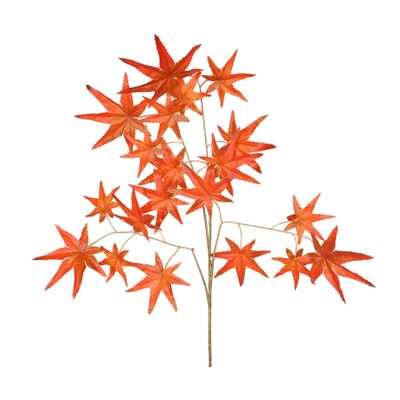 Essential Autumn Maple - Red