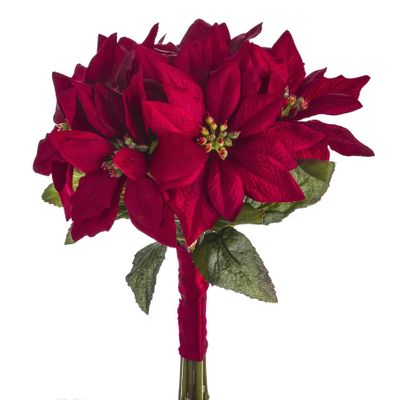 Poinsettia Bundle 28Cm