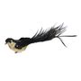 Black Sequin Glitter Feather Bird with Clip 29cm