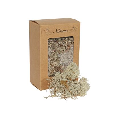 Reindeer Moss Natural  in presentation box 100g