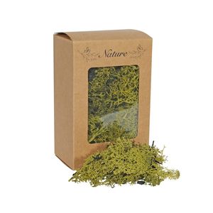 Reindeer Moss Green in presentation box 100g