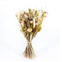 Ixia Flowers Meadow Dried Bouquet