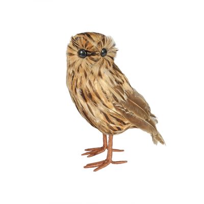 Tawny Owl Medium