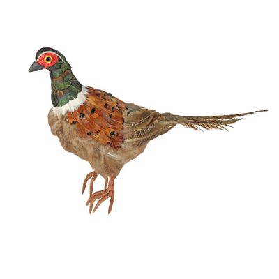 Pheasant  55x11x22
